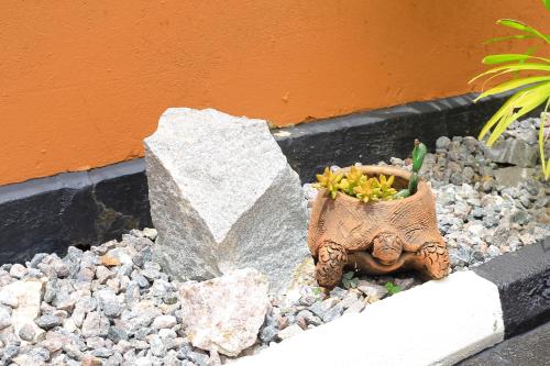 Gambar di galeri bagi Entire 3-Bedroom Holiday Home in Kampala, Lovingly Furnished di Kampala