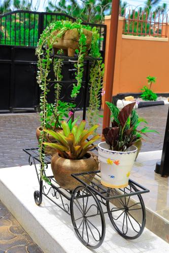 Taman di luar Entire 3-Bedroom Holiday Home in Kampala, Lovingly Furnished