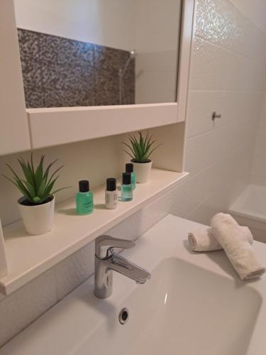 a bathroom sink with a mirror and plants on a shelf at Villa Anna, ingyenes Wifivel és parkolással. in Zalaegerszeg