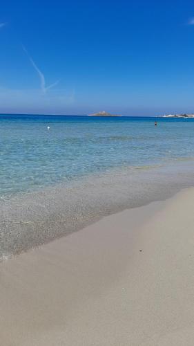 度假屋周边自然景观