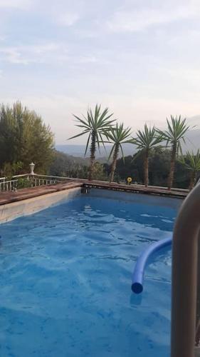 une grande piscine bleue avec des palmiers en arrière-plan dans l'établissement Happy Home Levens, à Levens