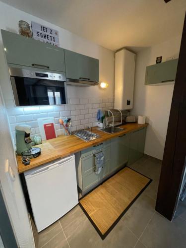 une petite cuisine avec un évier et un comptoir dans l'établissement Logement Les Plumes, à Strasbourg