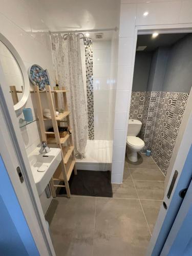une salle de bain avec toilettes, lavabo et douche dans l'établissement Logement Les Plumes, à Strasbourg