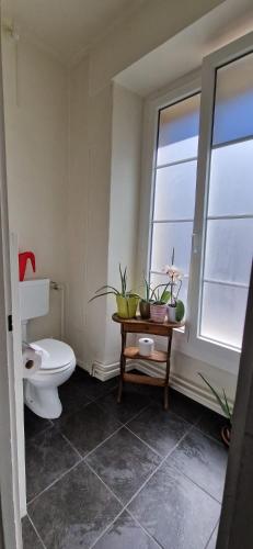 a bathroom with a toilet and a table with plants at Vaste chambre au centre ville, à 2 minutes du Lac in Neuchâtel
