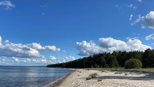 a beach with trees and water and clouds in the sky at Suite am Meer / Seaside suite in Ķesterciems