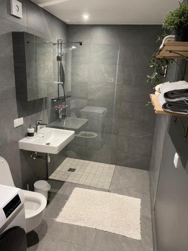 a bathroom with a shower and a sink and a toilet at Suite am Meer / Seaside suite in Ķesterciems