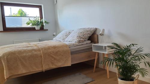 トルンにあるKawalerka 40 m 2 osoby ulica Porzeczkowa Torunのベッドルーム1室(ベッド1台、窓、植物付)