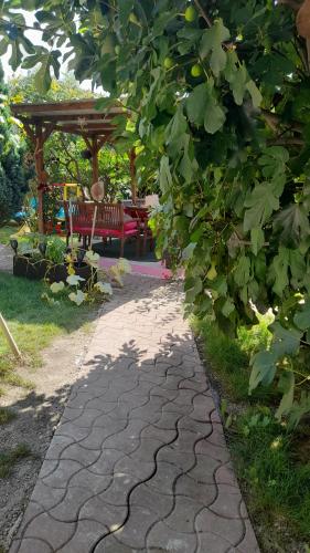 a stone walkway in a garden with a gazebo at Olympe in Dessenheim