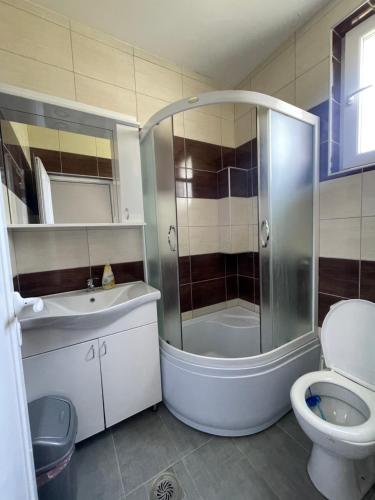a bathroom with a shower and a toilet and a sink at Vile Jana in Leskovac