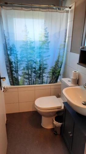 a bathroom with a toilet and a shower curtain at Schöngrün in Sankt Andreasberg