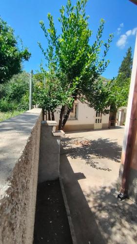 a retaining wall with trees in front of a building at Camera a Catanzaro in villa relax ""oasi verde"" in Catanzaro
