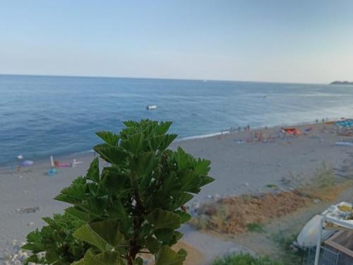 Naturlandskabet i nærheden af lejligheden