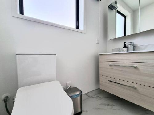 a bathroom with a toilet and a sink and a mirror at Addington Townhouse 7 mins walk to Arena in Christchurch
