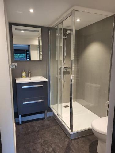 une salle de bain avec une douche, un lavabo et des toilettes dans l'établissement Le Bellevue, à Epagny Metz-Tessy