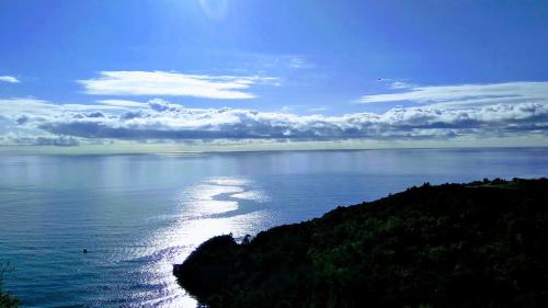 布德瓦Hillside Apartment with Infinity Pool and Sea View的一大片水域的景色