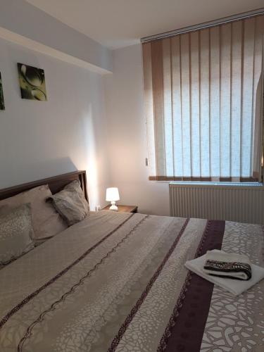 a bedroom with a large bed and a window at Promenade apartment in Târgu-Mureş