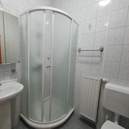 a shower in a bathroom with a toilet and a sink at Apartments Rombon in Bovec