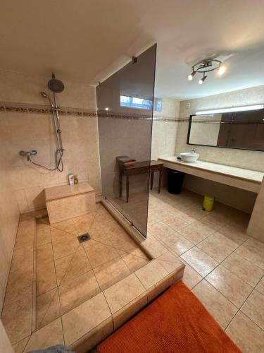 a bathroom with a shower and a sink at Au fil de l eau in Lahonce