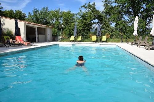Kolam renang di atau dekat dengan Moulin des Gypses Gîte Les Pampres, Ventoux