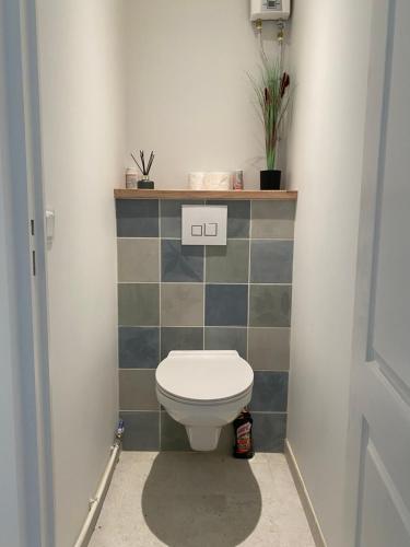 a bathroom with a white toilet in a room at Maison 2 pièces dans parc privé, forêt, loisirs, ecuries de chevaux in Le Coudray-Montceaux