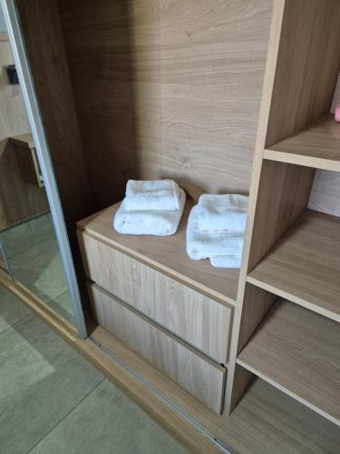 two towels sitting on a shelf in a bathroom at Apart Elisa in Villa Elisa