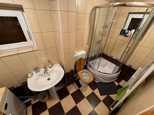 a bathroom with a sink and a toilet and a shower at Vacation House Lunca Bradului in Lunca Bradului