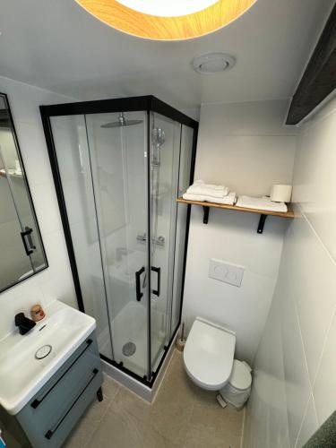 a bathroom with a shower and a toilet and a sink at Hôtel Flor Rivoli in Paris