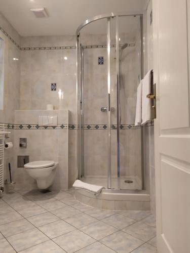 a bathroom with a shower and a toilet at Hotel Sanssouci in Prague