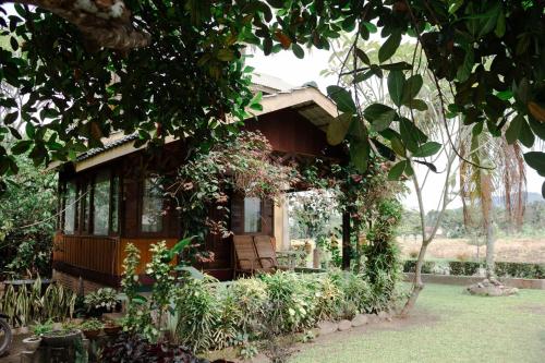 a small house in the middle of a garden at AMBOW Homestay Jungle Trekking & Village Tour in Bukit Lawang