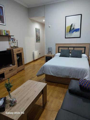a bedroom with a bed and a tv and a couch at Apartamento centrico Luada in Vigo