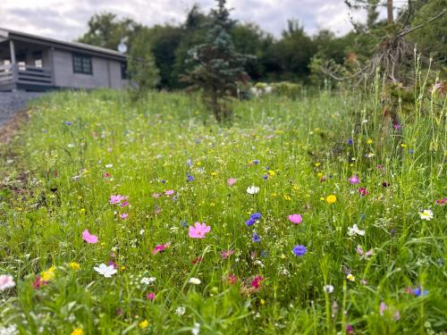 a field of flowers in front of a house at LITTLE ROCK RETREAT Log Cabin with Hot Tub in Westmeath