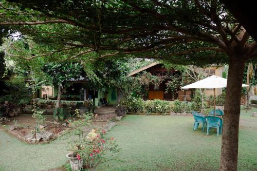 a yard with chairs and an umbrella in front of a house at AMBOW Homestay Jungle Trekking & Village Tour in Bukit Lawang