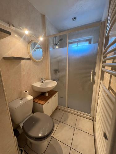 une salle de bain avec toilettes et lavabo dans l'établissement Appartement T2 Cosy, à Saint-Éloy-les-Mines