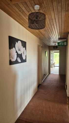 Gallery image of Goldenhill Guesthouse in Omagh
