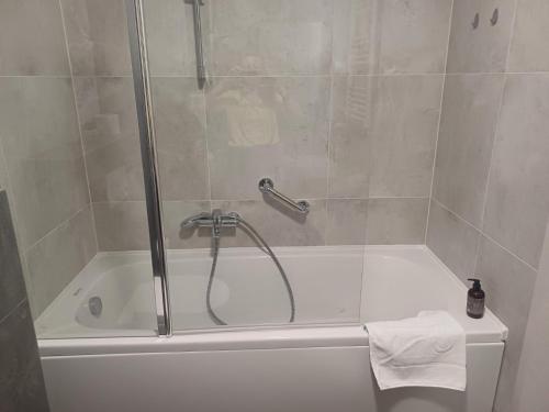 a shower with a glass door in a bathroom at Apartment Rosa in Varaždin