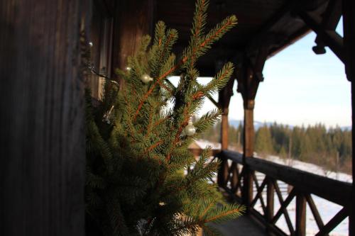 a christmas tree on the side of a building at Blyzhche Neba in Yablunytsya
