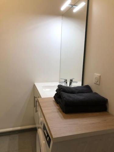 une salle de bain avec un lavabo et un miroir dans l'établissement Charmant T2 au coeur de noisy, à Noisy-le-Grand