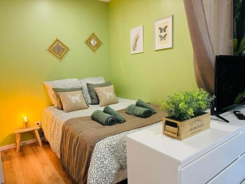 une chambre avec un lit et une télévision dans une pièce dans l'établissement Bel forest , Climatisé, terrasse, à Belfort