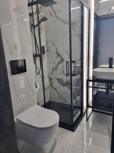 a bathroom with a toilet and a sink at SkyHel Apartament 201 in Hel