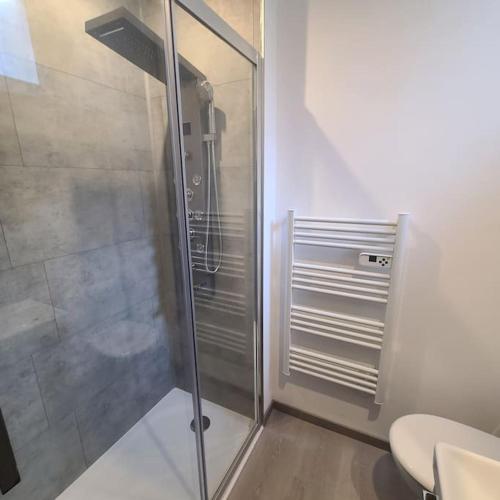 La salle de bains est pourvue d'une douche en verre et de toilettes. dans l'établissement Appartement Brest Pilier Rouge, à Brest