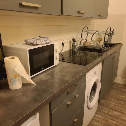 une cuisine avec un évier et un micro-ondes dans l'établissement Appartement Brest Pilier Rouge, à Brest