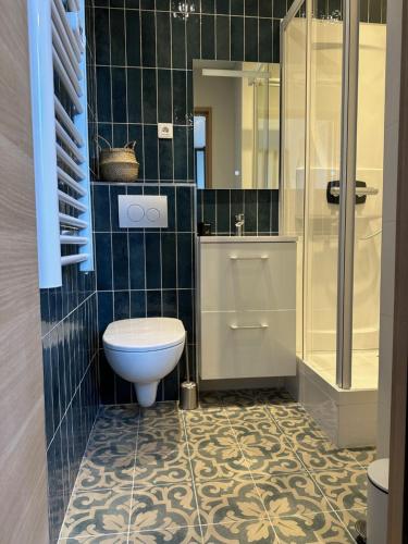 une salle de bain avec toilettes et douche dans l'établissement Le Studio Bellifontain, à Fontainebleau