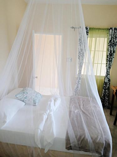 a bed with a mosquito net in a bedroom at Viva Violas in Port Antonio