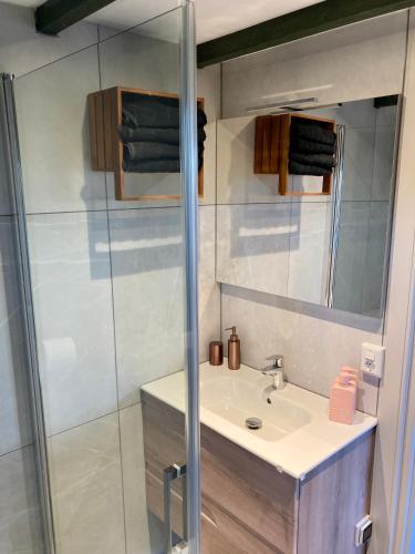 a bathroom with a sink and a shower at Landelijk gelegen huisje in Opperdoes