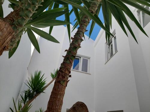 Casa do Patio