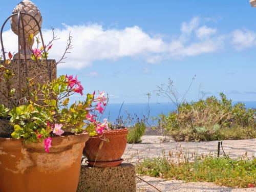 a group of potted plants sitting inront of the ocean at Casa Azul, Arico Viejo La Sabinita - Baden, wandern, klettern, Individualurlaub jenseits des Massentourismus, in La Sabinita
