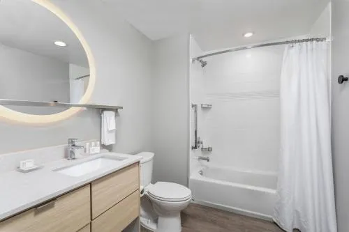 TownePlace Suites by Marriott Orlando Near Universal photo 9