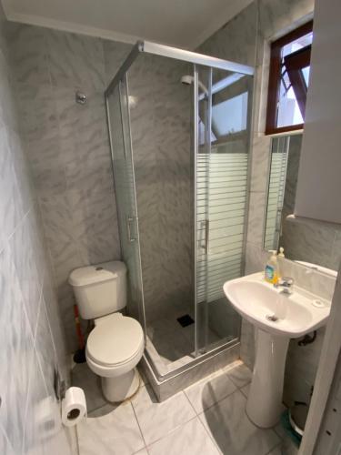 a bathroom with a shower and a toilet and a sink at Nido de Cóndores in Santiago