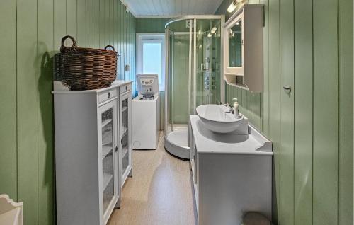 a green bathroom with a sink and a toilet at 3 Bedroom Beautiful Home In Tjøme in Tjøme