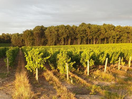 Spatieux, confort, reposant, gd jardin bucolique, jeux, balades, zoo, châteaux